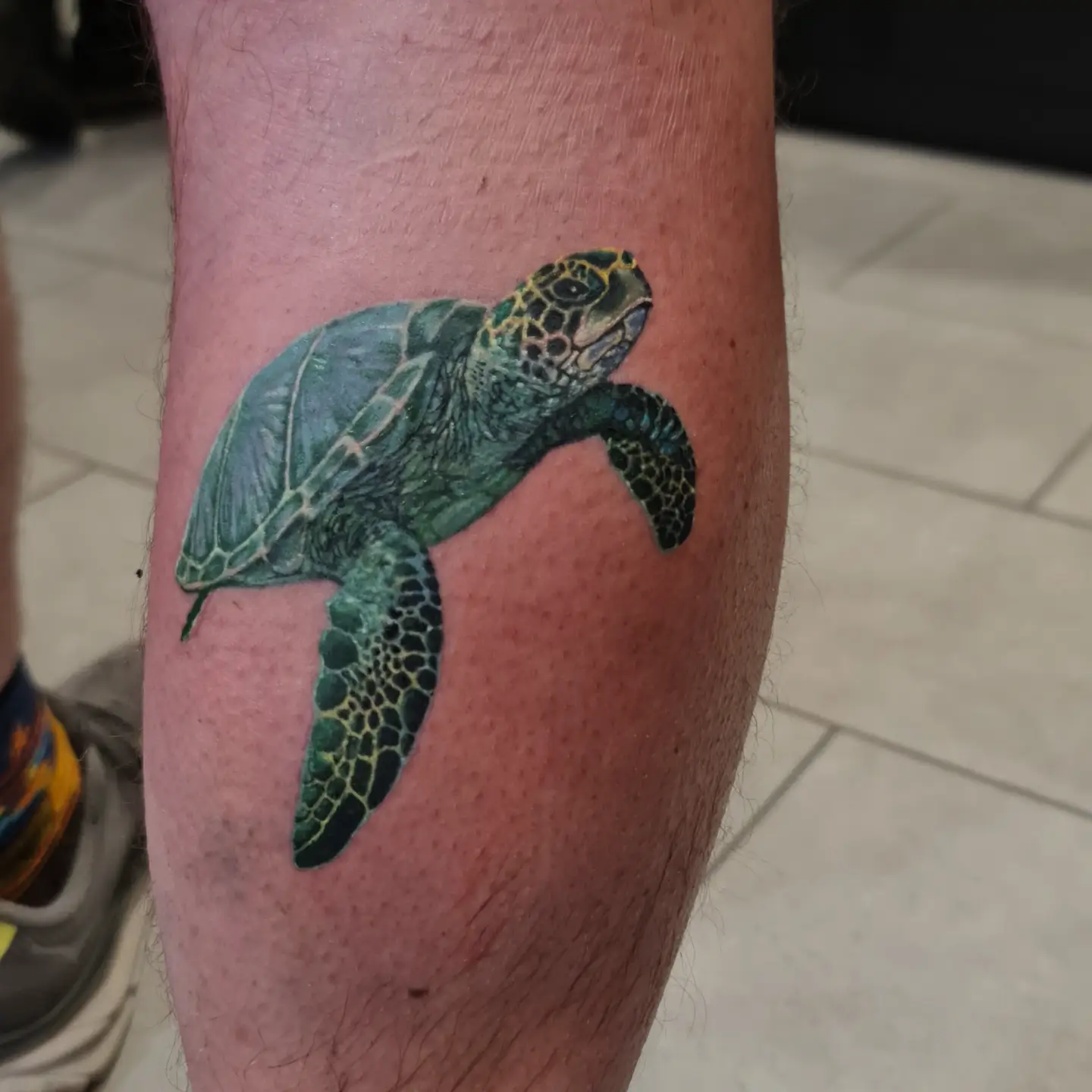 Argustattoo becky dee turtle, tattoo by Becky Dee at Argus Tattoo in Antwerp
