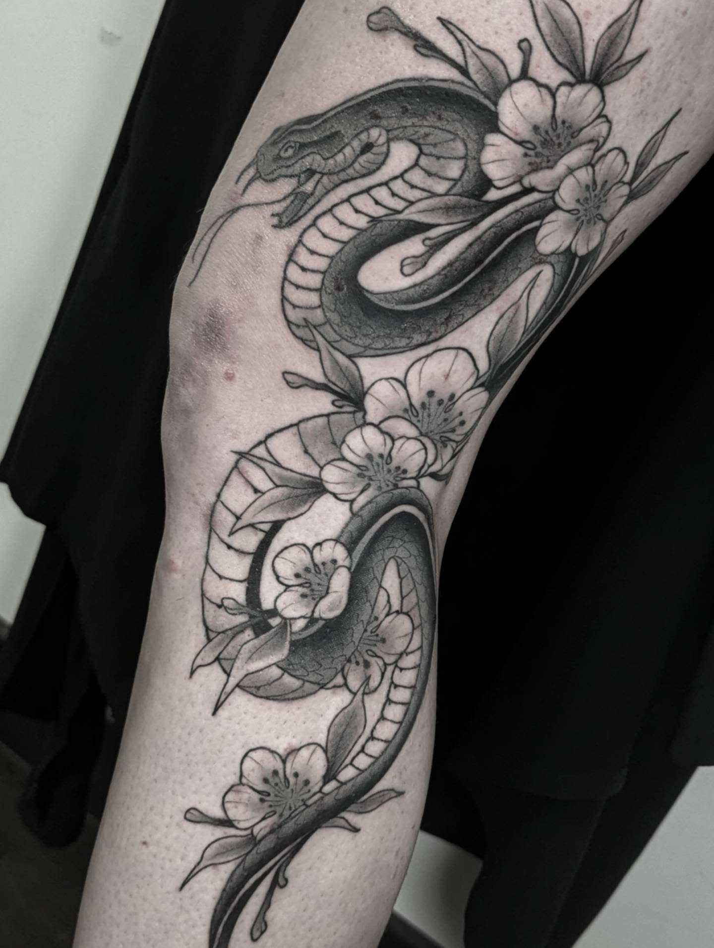 Argustattoo stickystef snake 1, tattoo by Sticky Stef at Argus Tattoo in Antwerp