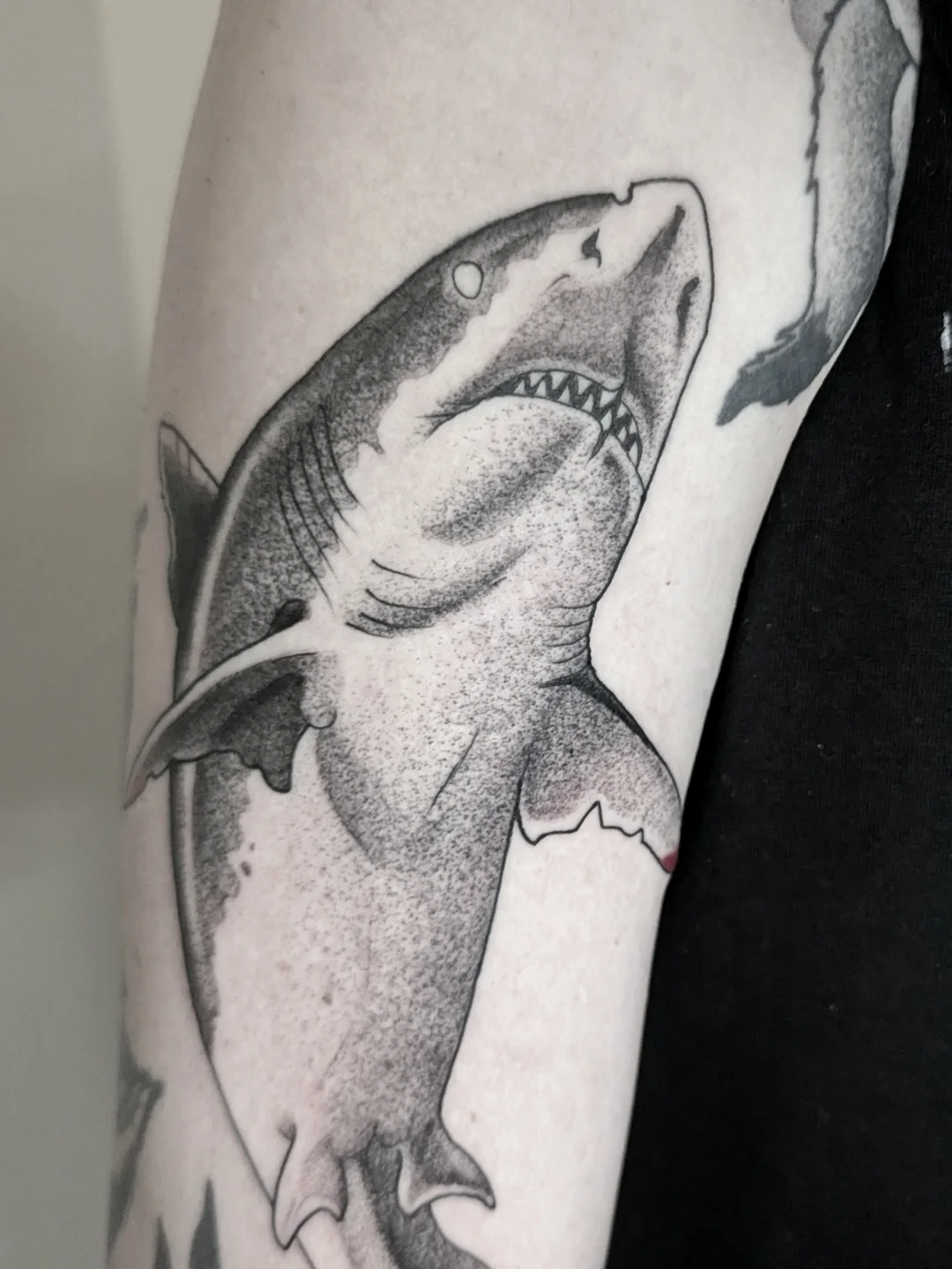Argustattoo tacodoodnuchter sharktime, tattoo by Taco Bals at Argus Tattoo in Antwerp